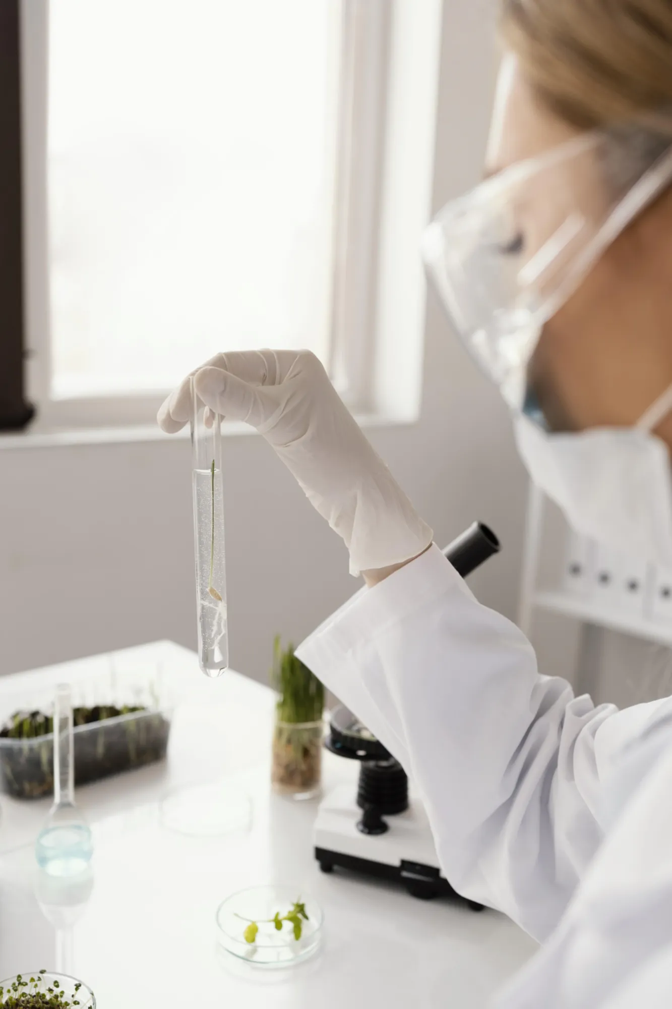 Laboratoire cosmétique